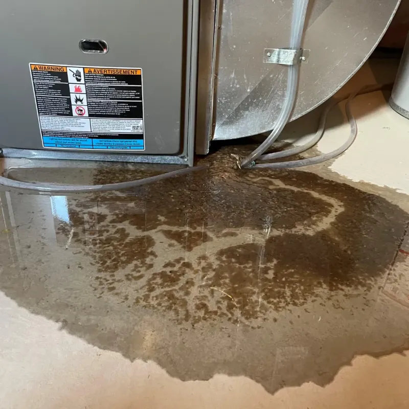 Appliance Leak Cleanup in Fountain County, IN